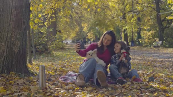 Happy moments of life, a family takes a photo with pets in an autumn park. Walks with the dog in the yellow leaves and a picnic. High quality 4k footage - Séquence, vidéo
