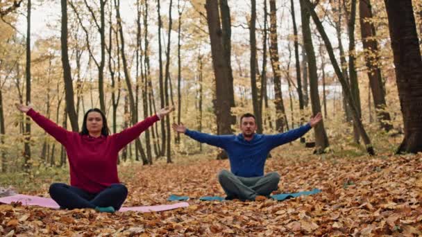 Couples Wellness Expedition: Yoga, Meditation, and Fitness in the Autumn Park Haven. High quality 4k footage - Metraje, vídeo