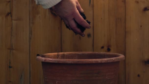 Gardener adding soil to plant pot on wooden background pot medium slow motion zoom shot selective focus - Filmagem, Vídeo