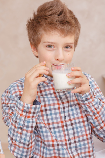 Boy drinks milk and smiles - Fotoğraf, Görsel