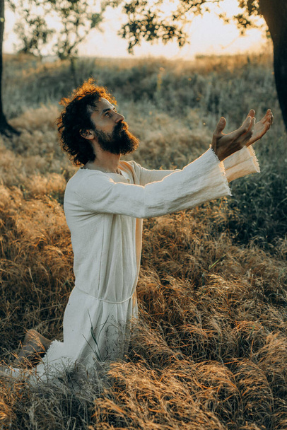 Jesus Christ Alone in the Garden, Meditating and Praying - Photo, image