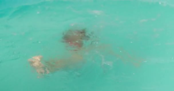Ragazzino con maschera da snorkeling gioca e impara ad immergersi e nuotare in piscina durante le vacanze estive. Filmati 4k di alta qualità - Filmati, video