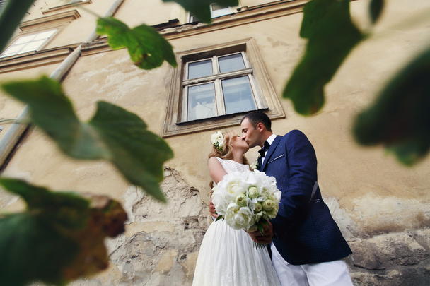 charming bride and stylish groom standing near bush flowers - Foto, immagini