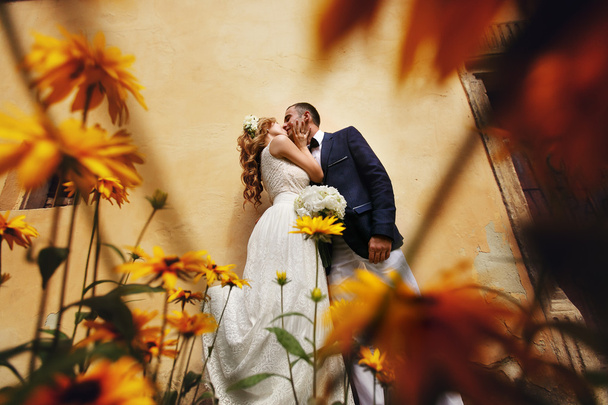 charming bride and stylish groom standing near bush flowers - Photo, image