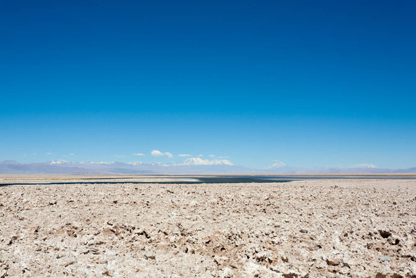 Riserva naturale del Flamingo, Cile. San Pedro de Atacama, Riserva Nazionale di Los Flamencos - Foto, immagini