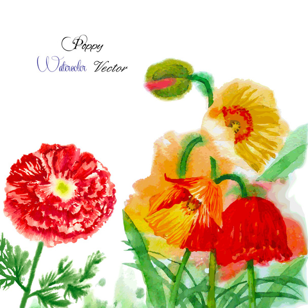 Watercolor background with red poppy-02 - Vektor, obrázek