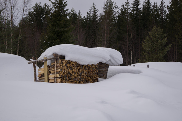 wooden shack - Φωτογραφία, εικόνα