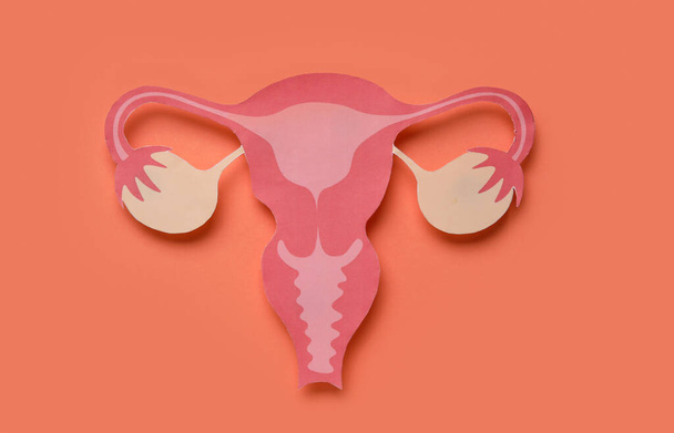 Paper uterus on orange background - Фото, зображення