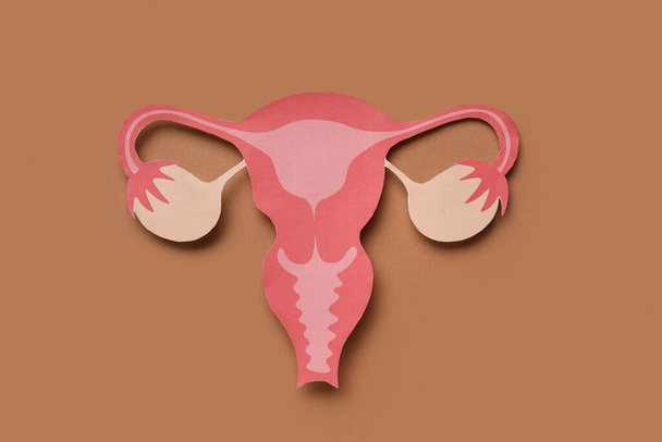 Paper uterus on brown background - Foto, afbeelding