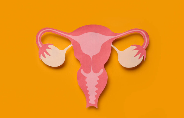 Paper uterus on orange background - Foto, afbeelding