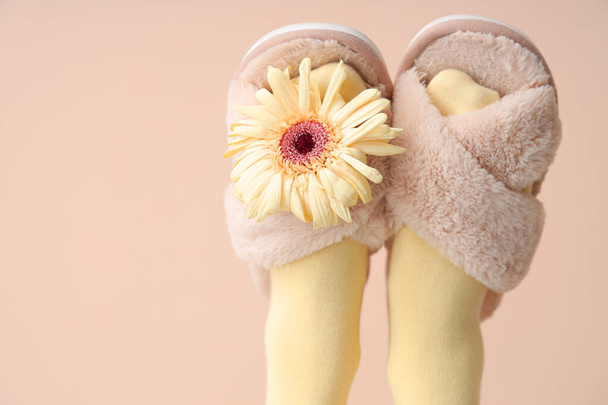 Jambes féminines en pantoufles souples avec fleur de gerbera sur fond beige - Photo, image