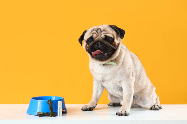 Cute pug dog with snacks, toothbrush and feeding bowl on table against yellow background - Photo, image