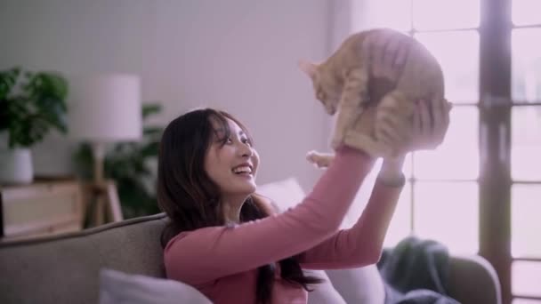 Genç Asyalı bir kadın, sevimli kediciği kucağında tutuyor. Kollarında mutlu duygular, sevimli evcil hayvan konsepti. Yüksek kalite 4k görüntü - Video, Çekim