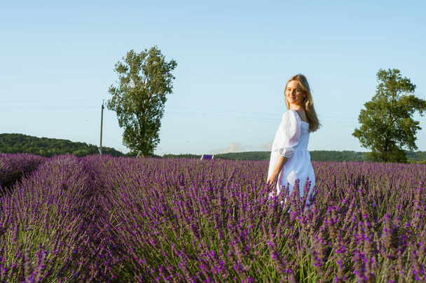 Dziewczyna w białej letniej sukience spaceruje po lawendowym polu, ciepły zachód słońca, zdjęcie panoramiczne. Pola lawendowe w pobliżu Lwowa, Ukraina. Kwitnąca lawenda latem. Skupienie selektywne - Zdjęcie, obraz