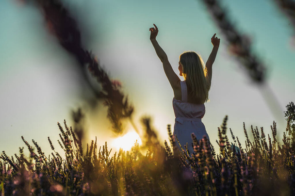 встречный портрет молодой девушки в белом летнем платье на лавандовом поле, смотрит сзади, поднимает руки на вершину солнца. Цветущая лаванда летом. Закат. - Фото, изображение