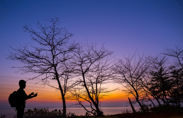 Silhouette homme en utilisant smartphone avec arbre mort et plage coucher de soleil
  - Photo, image