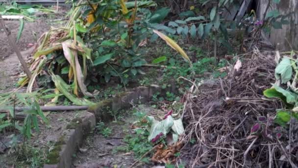 Kasa maatalousjätettä käytetään puutarhassa tehdä orgaanista kompostia Intiassa. - Materiaali, video