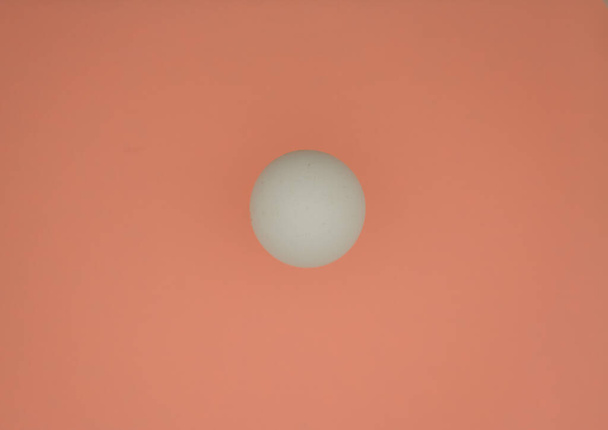 White egg on peach color background. Minimalism. Top view. Copy space. - Foto, imagen