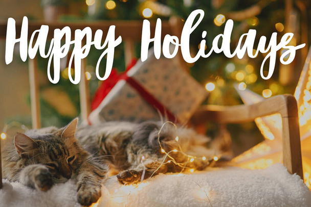 Frohe Feiertage Text auf süße Katze liegend mit stilvollen Weihnachtsgeschenken und goldenen Lichtern auf gemütlichen Stuhl gegen Weihnachtsbaum. Frohe Weihnachten. Die Grußkarte der Saison. Handschriftliches Zeichen - Foto, Bild