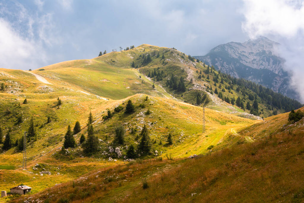 Ніжні зелені пагорби влітку - Фото, зображення