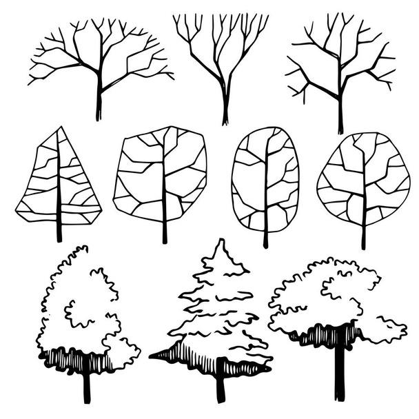 set of trees, hand drawing, frontal view. architectural ink drawing, vector. - Vector, Image