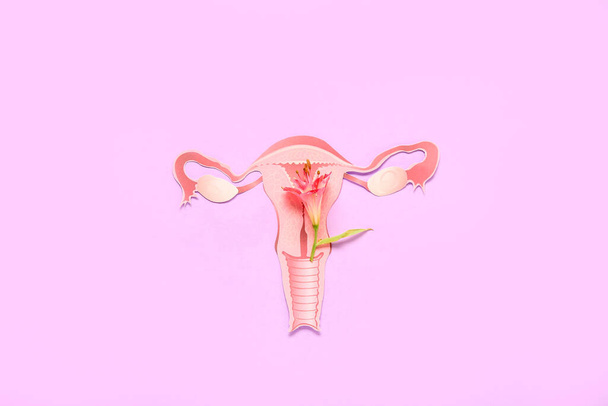 Utérus en papier avec fleur sur fond rose. Concept de ménopause - Photo, image