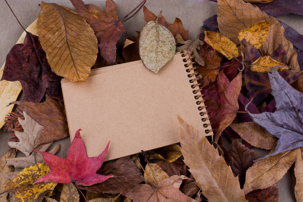 Open blanco notitieboek met gevallen herfstbladeren als achtergrond - Foto, afbeelding