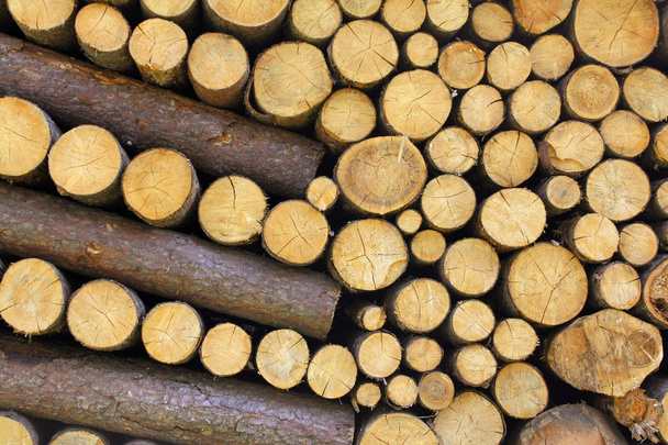 Деревянные бревна
 - Фото, изображение