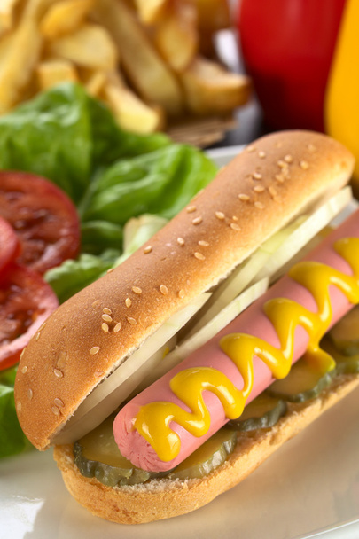 Hotdog con patatine fritte
 - Foto, immagini