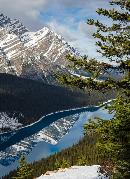 Jezioro Turquoise Peyto z odbiciem Canadian Rocky Mountain, jezioro karmione lodowcem w Parku Narodowym Banff w Albercie, Kanada. Widziany ze szczytu w Bow - Zdjęcie, obraz