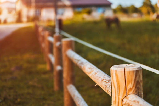 Uma cerca elétrica com fios e equipamento isolante protege um pasto onde cavalos e vacas se alimentam da grama e da silagem, proporcionando segurança e cuidado para os animais da fazenda. - Foto, Imagem
