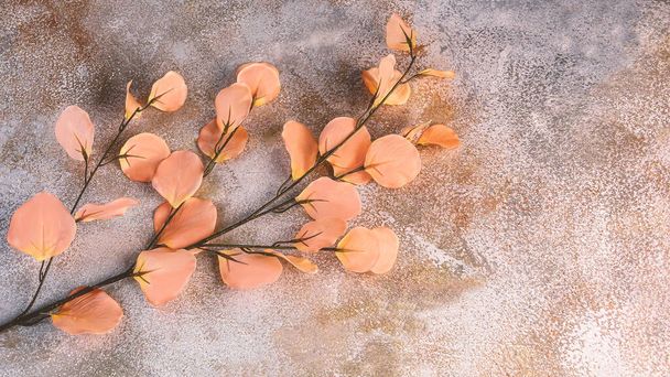 Een tak van kunstbloemen in de kleur van het jaar 2024 Peach Fuzz op een betonnen achtergrond. Voorjaarssamenstelling in perziktonen. - Foto, afbeelding