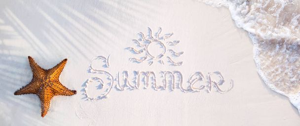 летний тропический туристический баннер. Морские звезды на песчаном пляже океана, оттенок пальм и волны на краю воды; летние каникулы баннер концепции с копировальным пространством - Фото, изображение