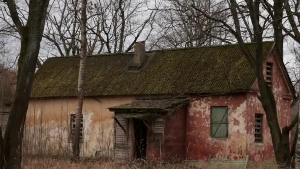 Steadicam Breed shot van zeer oude verlaten overwoekerd huis - Video