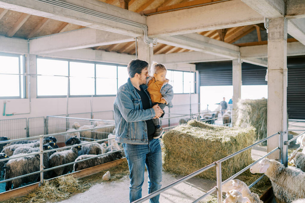 O pai mostra a uma menina nos braços um curral com ovelhas brancas fofas. Foto de alta qualidade - Foto, Imagem