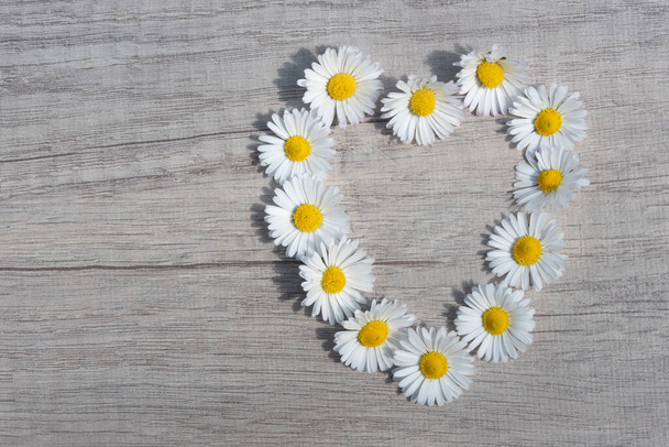 Close-up van een hart gemaakt van kleine witte bloemen. De madeliefjes liggen aan de zijkant van een berkenhouten voet. Er is ruimte voor tekst. - Foto, afbeelding