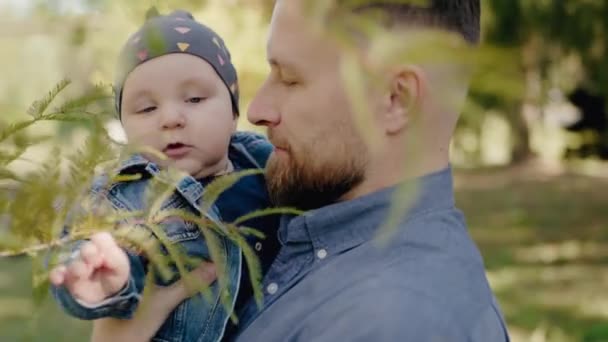Νεαρός πατέρας κρατά το μικρό γιο στα χέρια και περπατά στο πάρκο κοντά σε πράσινα δέντρα. Ο μπαμπάς περνάει χρόνο με το χαριτωμένο μωρό έξω την καλοκαιρινή μέρα. Έννοια πατρότητας - Πλάνα, βίντεο