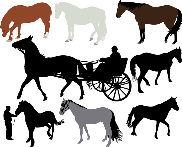 Horses vector sihouette - Vector, Image