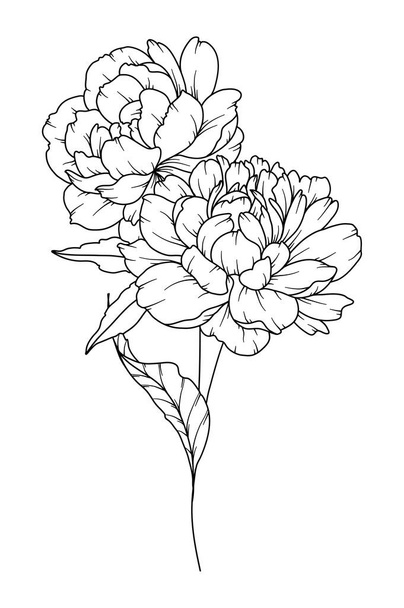 Peony Line Drawing. Black and white Floral Bouquets. Flower Coloring Page. Floral Line Art. Fine Line Peony illustration. Hand Drawn flowers. Botanical Coloring. Wedding invitation flowers - Vector, Image