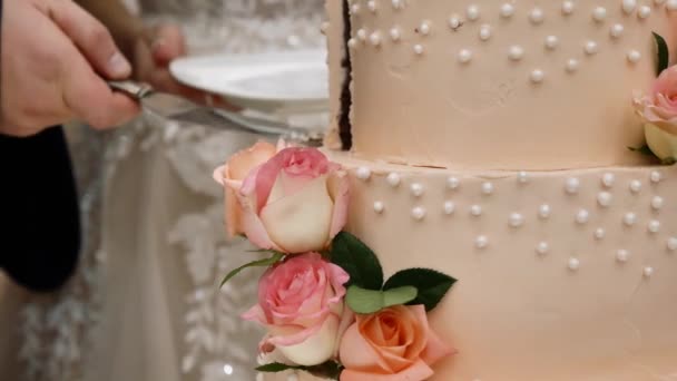Nevěsta a ženich krájeli svatební dort. Detail novomanželů krájejících svatební dort. Krájení svatebního dortu - Záběry, video