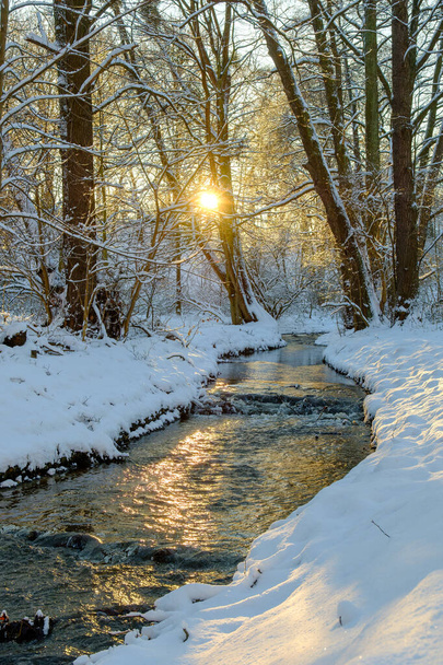 Frosty Radiance: Talvi-ilta Kacza-joella Gdyniassa Orlowo - Valokuva, kuva