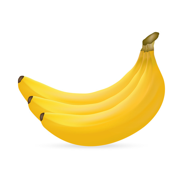 bananas on white background - Вектор,изображение