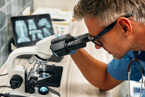 Ветеринар дивиться через мікроскоп, вивчає зразки крові. Поруч з ним на столі знаходиться планшет з рентгенівськими променями. Лікування та огляд у сучасній ветеринарній клініці. - Фото, зображення