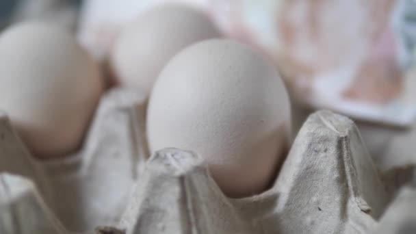 Inflação e aumento dos preços dos ovos na Turquia, ovos com 50 notas turcas, - Filmagem, Vídeo