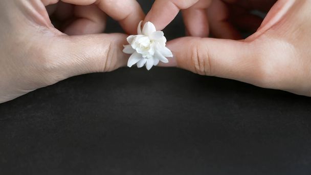 Two female hands holding a single white jasmine flower on dark background with copy space for text, advertising, business concept, jewery - Photo, Image