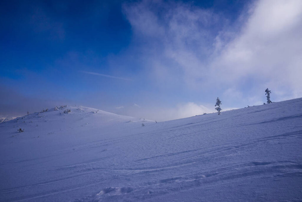 Western Tatras en hiver. Zone de pointe de Grzes (Lucna). - Photo, image