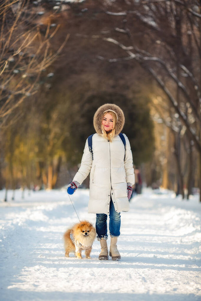 Una ragazza in giacca bianca cammina con uno spitz nel parco in inverno - Foto, immagini