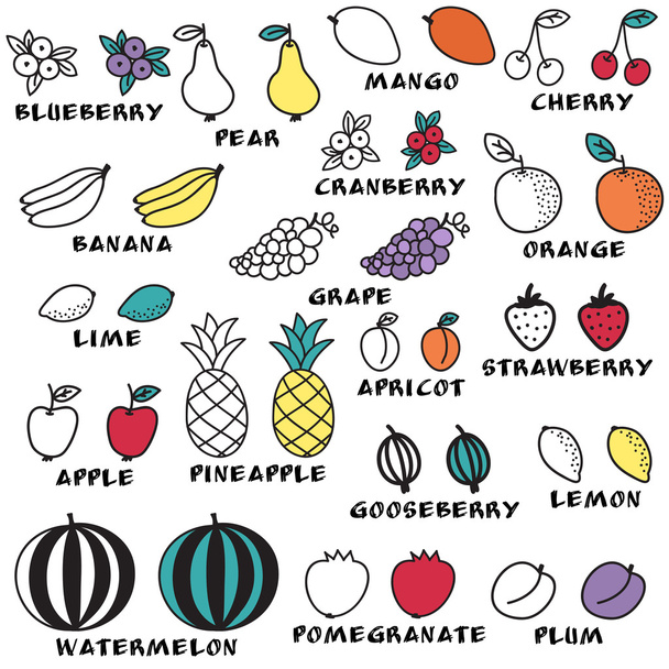 Set of doodle fruits - for scrapbook or design. hand-drawn vector illustration. - Vetor, Imagem