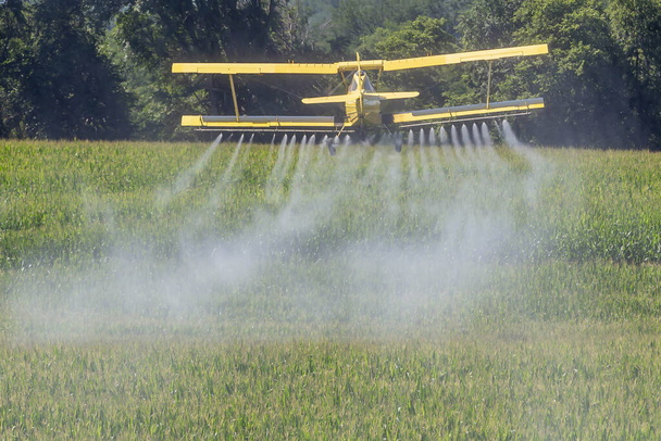Low-flying crop duster combats pests, safeguarding fields with precision chemical spraying for insect control, ensuring healthy crop yields. - Photo, Image