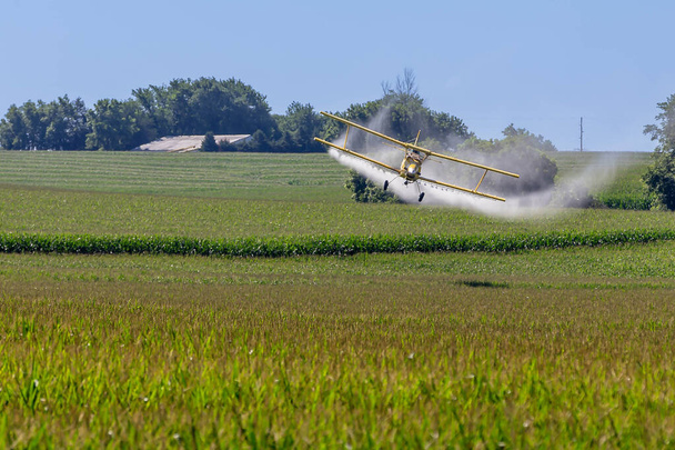 Tieffliegender Staubwedel bekämpft Schädlinge, schützt Felder durch präzises chemisches Spritzen zur Insektenbekämpfung und sorgt für gesunde Ernteerträge. - Foto, Bild
